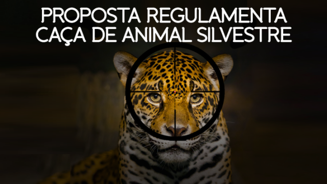 caça-de-animal-silvestre (1)