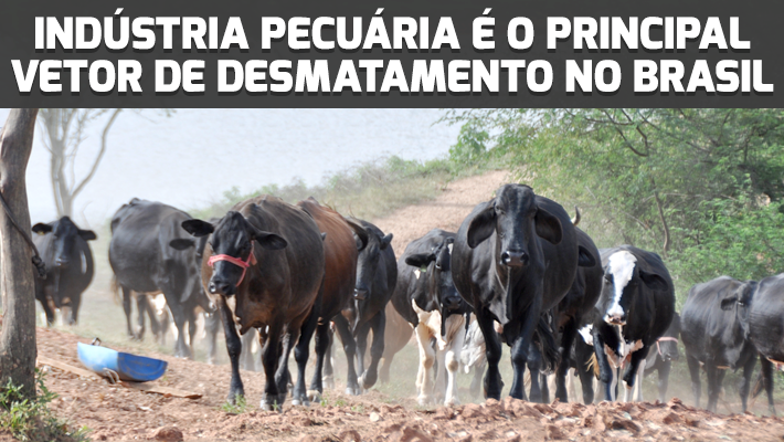 Indústria-pecuária (1)