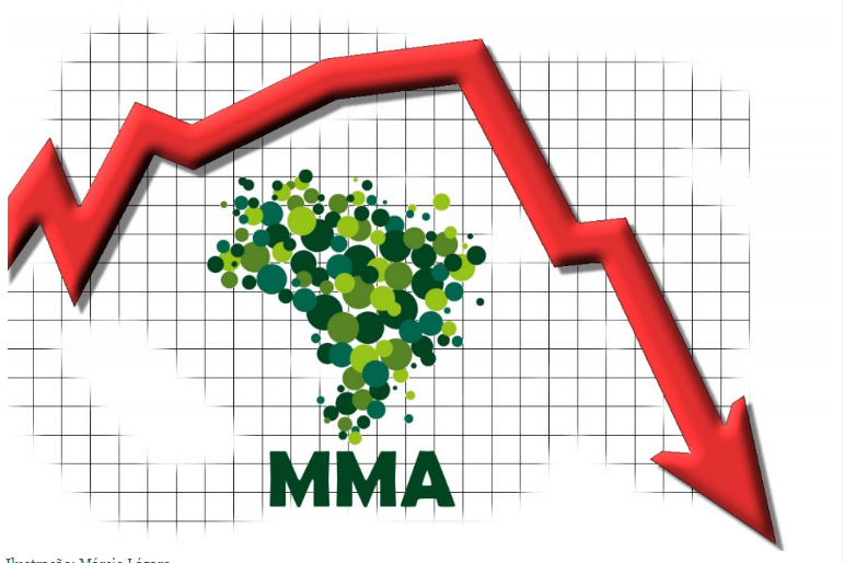 orçamento baixo MMA