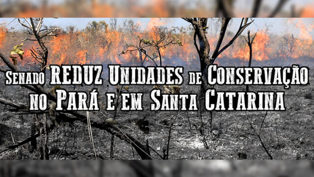 25.05 banner site pv mp senado