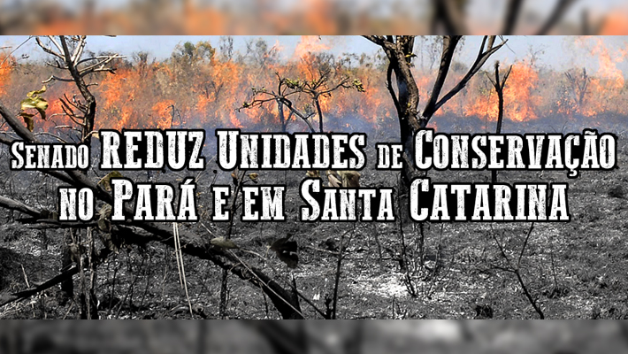 25.05 banner site pv mp senado