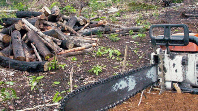 Temer-balança,-e-licenciamento-‘flex’-avança1 (1)
