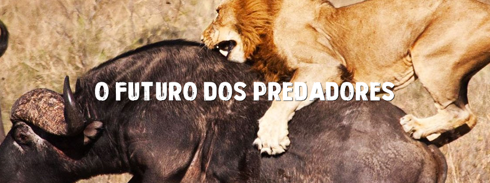 26.06 o futuro dos predadores