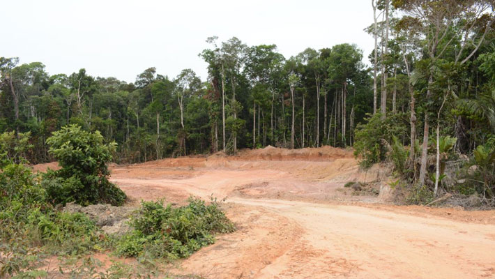 Justiça-manda-ICMBio-implementar-UCs-ao-longo-da-BR-319 (1)