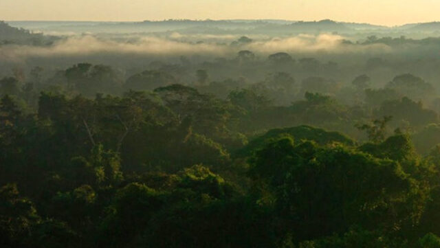 MPF-critica-no-Twitter–retrocesso-ambiental–de-MPs-e-entra-nos-trending-topics (1)