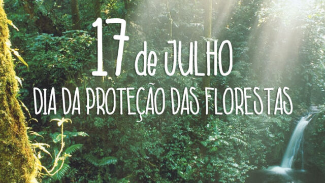 17.07 dia da proteção das florestas