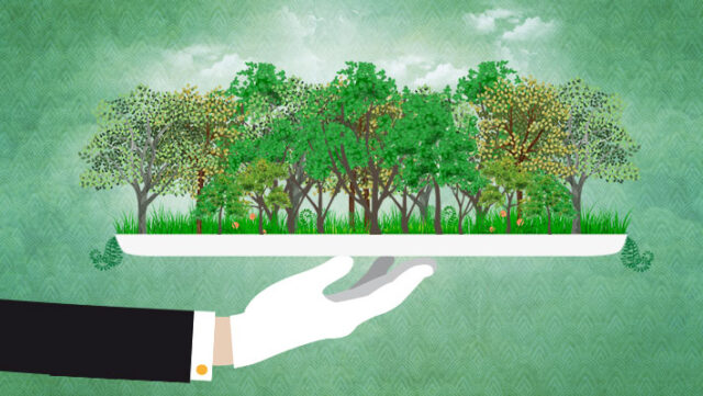 18.07 redução de jamanxin.png banner