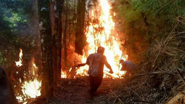 Notícia 12 redimensionada – 25 de setembro