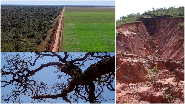 cerrado redimensionado