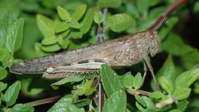 Notícia 1 – 10 de outubro