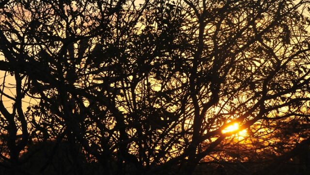 Notícia 3 – 24 de outubro