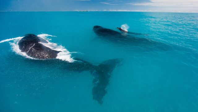 Notícia 4 – 24 de outubro