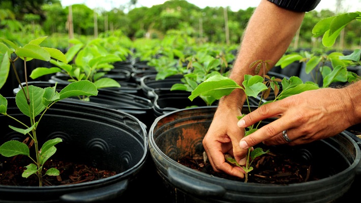 Notícia 6 redimensionada – 3 de outubro