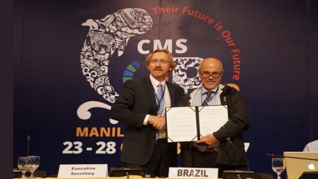 Notícia 7 – 25 de outubro