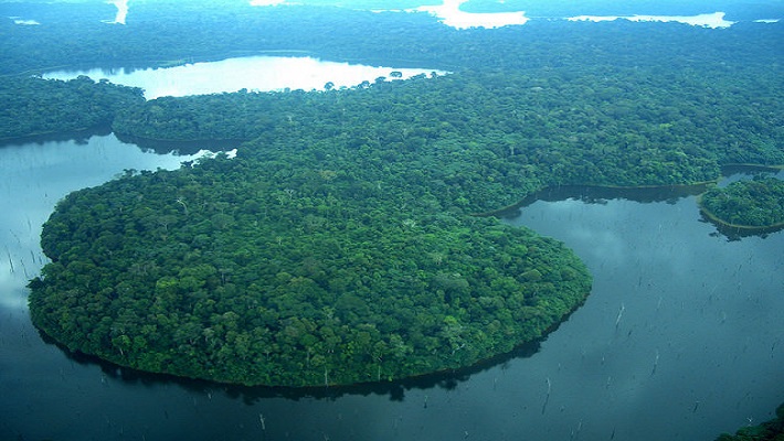 Notícia 11 – 22 de novembro