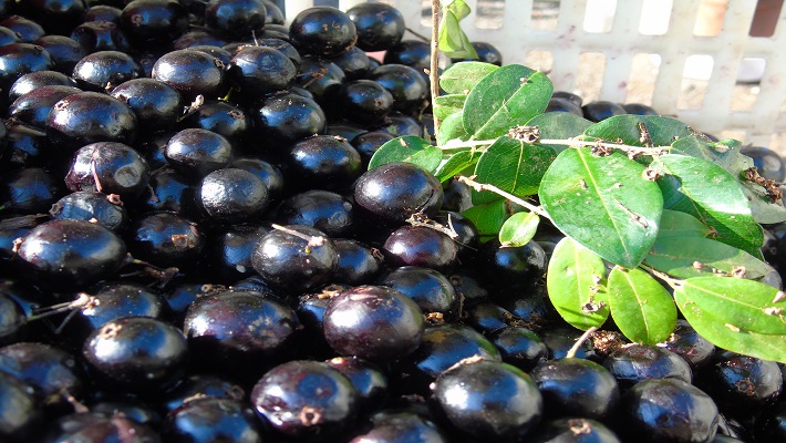 Notícia 3 – 28 de novembro