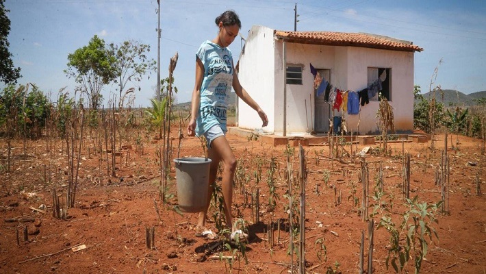 Notícia 1 – 19 de dezembro