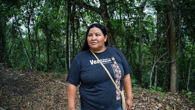 Notícia 10 – 20 de dezembro