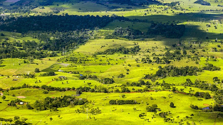 Notícia 11 – 4 de dezembro