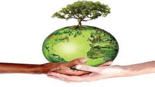 Notícia 3 – 19 de dezembro