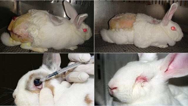 Notícia 4 – 13 de dezembro