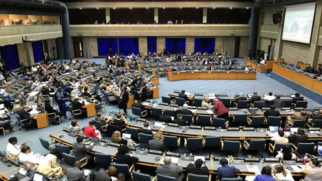 Notícia 8 – 7 de dezembro