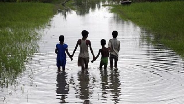 Notícia 3 – 15 de janeiro