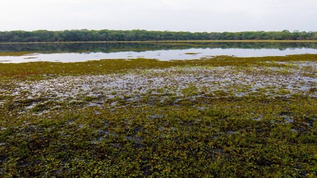 Notícia 4 – 8 de janeiro