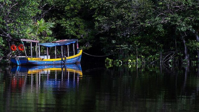 Notícia 5 – 8 de janeiro