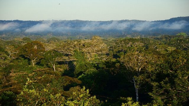Notícia 6 – 8 de janeiro