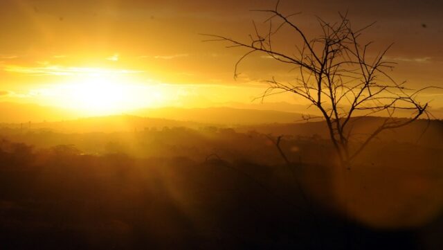 Notícia 17 – 15 de fevereiro