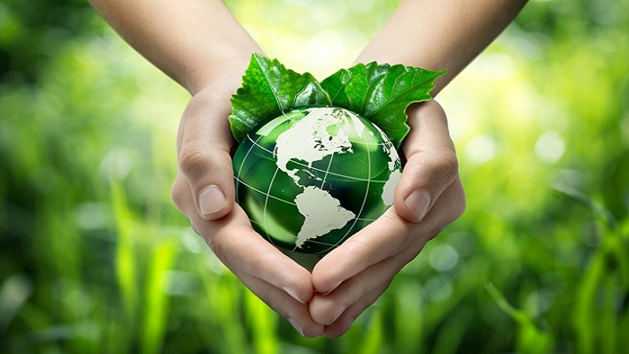Hands holding green globe with grassy background