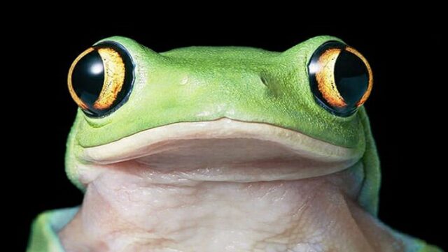 Notícia 3 – 27 de março