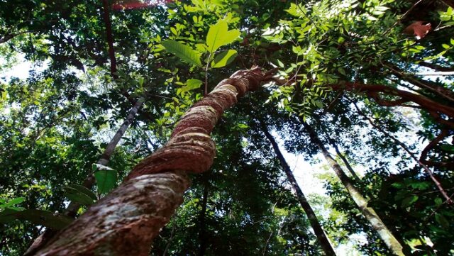 Notícia 11 – 17 de abril