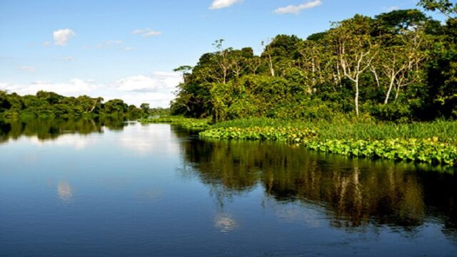 Notícia 11 – 5 de abril