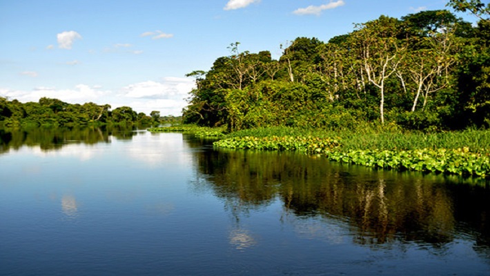 Notícia 11 – 5 de abril