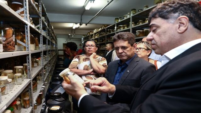 Notícia 12 – 17 de abril