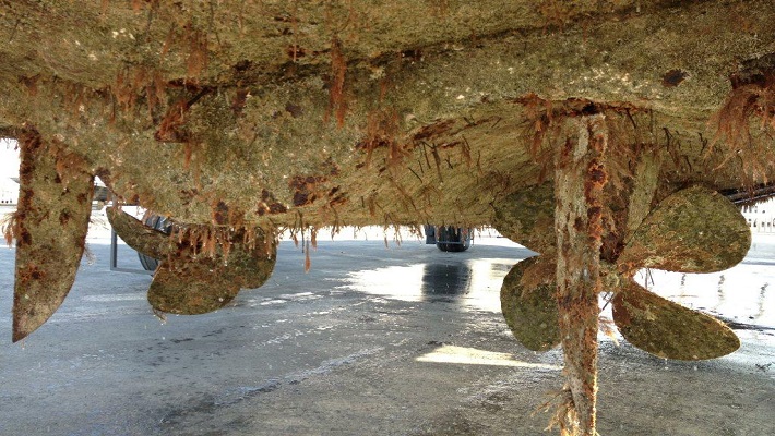 Notícia 13 – 12 de abril