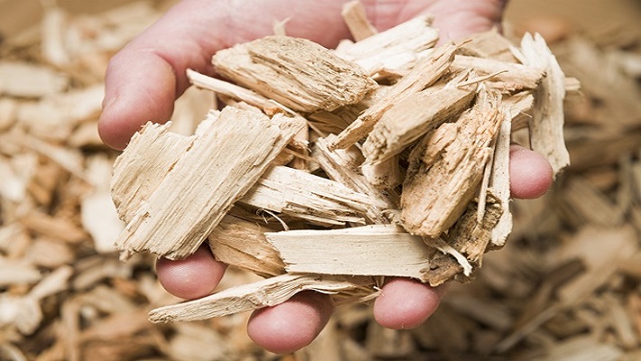 Holding Wood Chips for Biomass Boiler Macro
