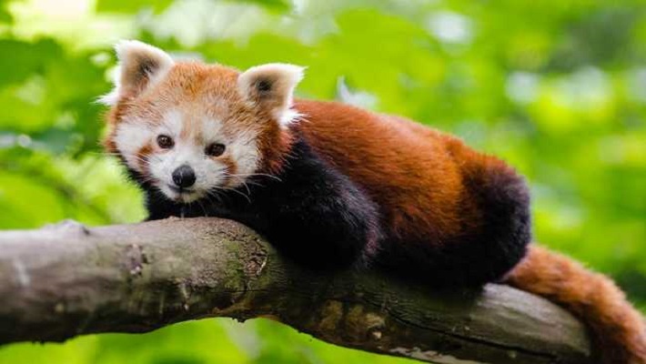 Notícia 13 – 27 de abril