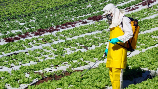 Ministro-diz-que-agronegócio-tem-‘tudo-a-perder’-com-pacote-do-veneno