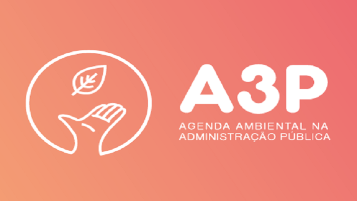 Notícia 12 – 29 de maio