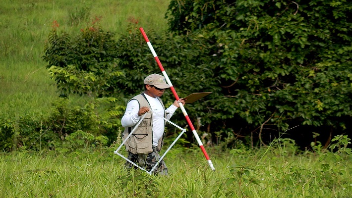 Notícia 15 – 24 de maio