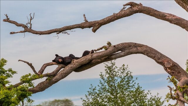 Notícia 5 – 23 de maio