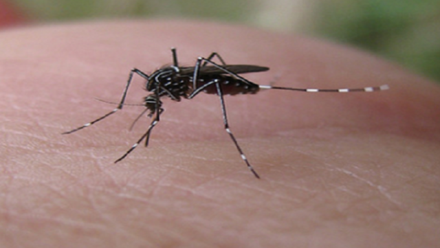 Notícia 10 – 5 de junho