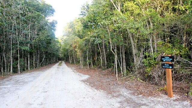 Notícia 2 – 1 de junho