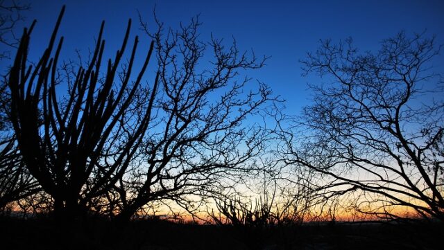 Notícia 9 – 19 de junho