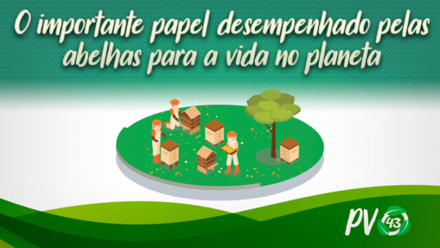 Site-4-O importante papel desempenhado pelas abelhas para a vida no planeta