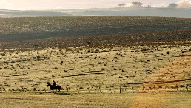Notícia 2 – 18 de julho
