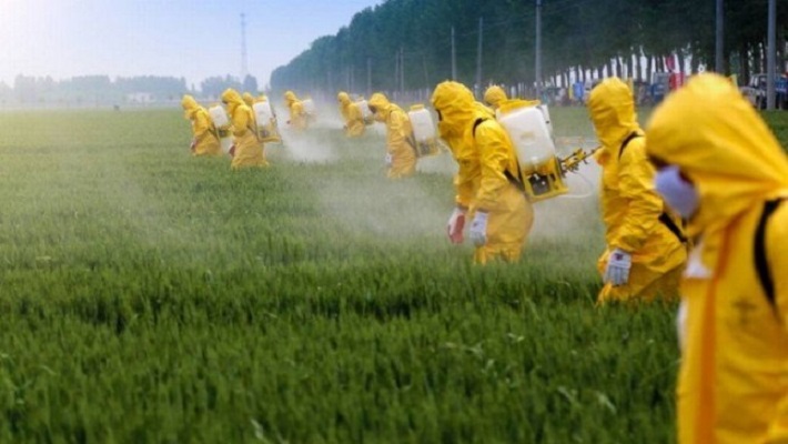 Notícia 5 – 12 de julho